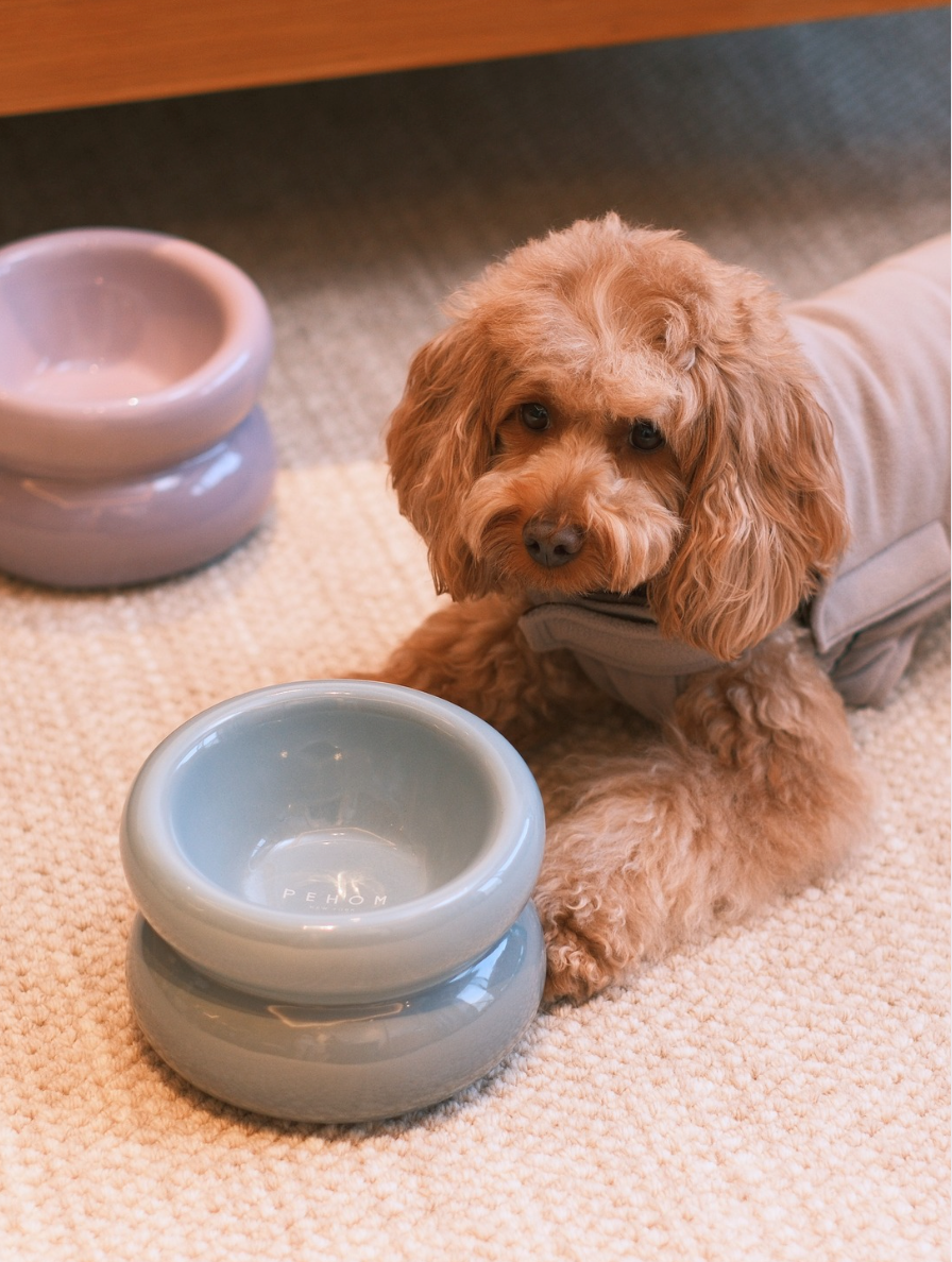 Soufflé Pet Bowl - Frozen Blue